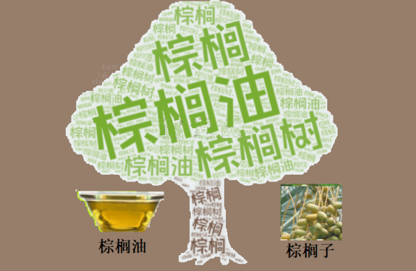 股鑫宝 棕榈油连续两日收阳！反弹行情能否突破关键阻力？技术面释放这一信号…