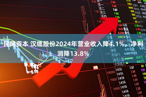 民间资本 汉缆股份2024年营业收入降4.1%，净利润降13.8%